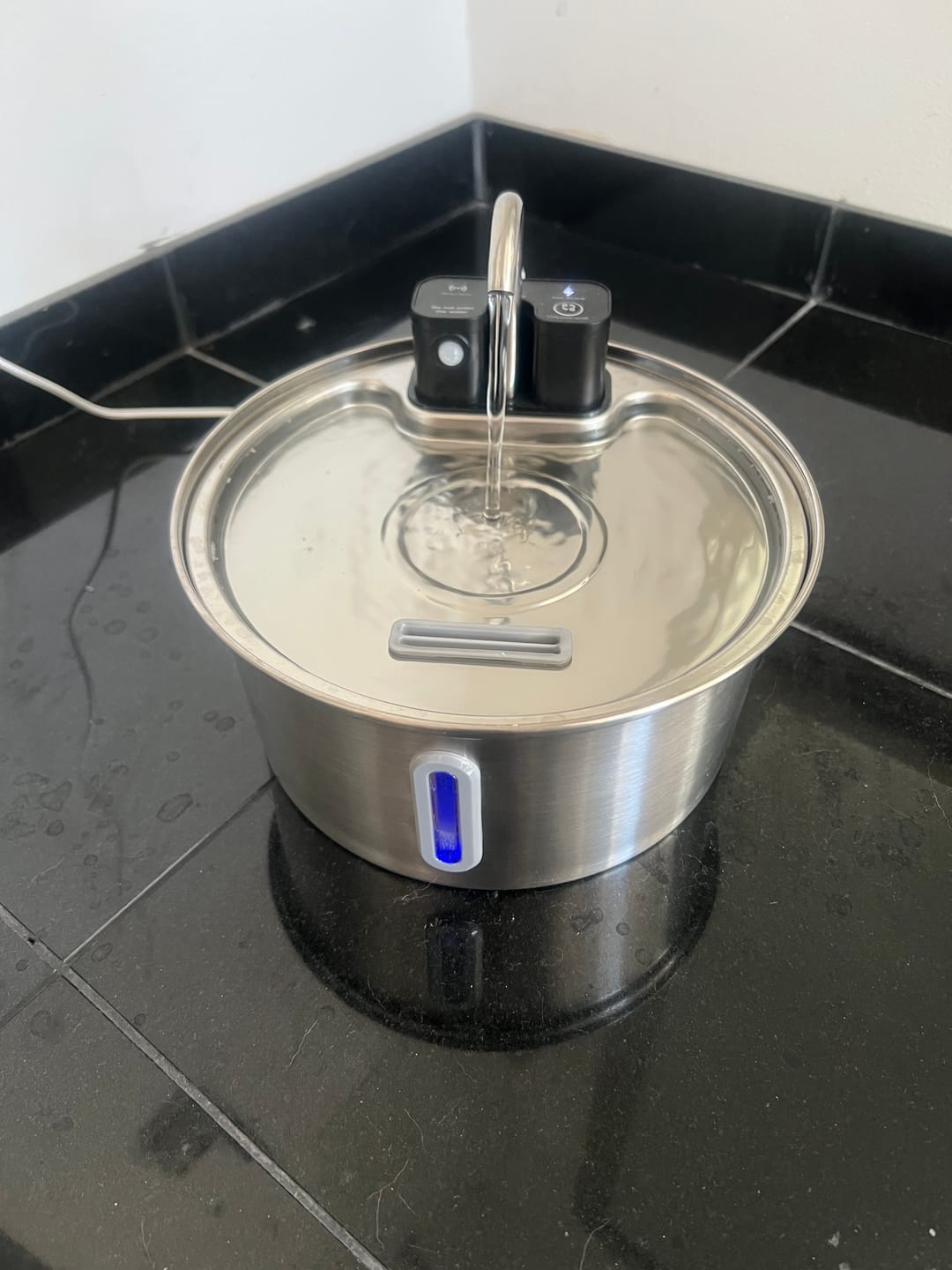 Customer photo review of NordFlow 2.0 Katzenbrunnen