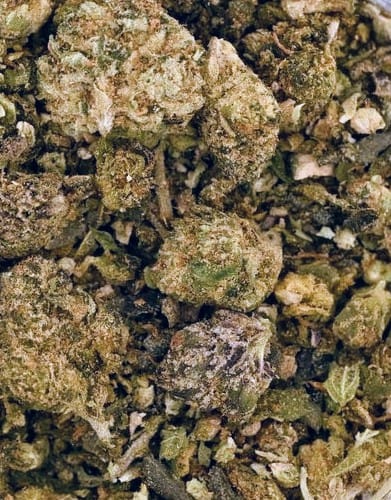 Customer photo review of Bulk House Blend Exotic Shake - Quarter Pound