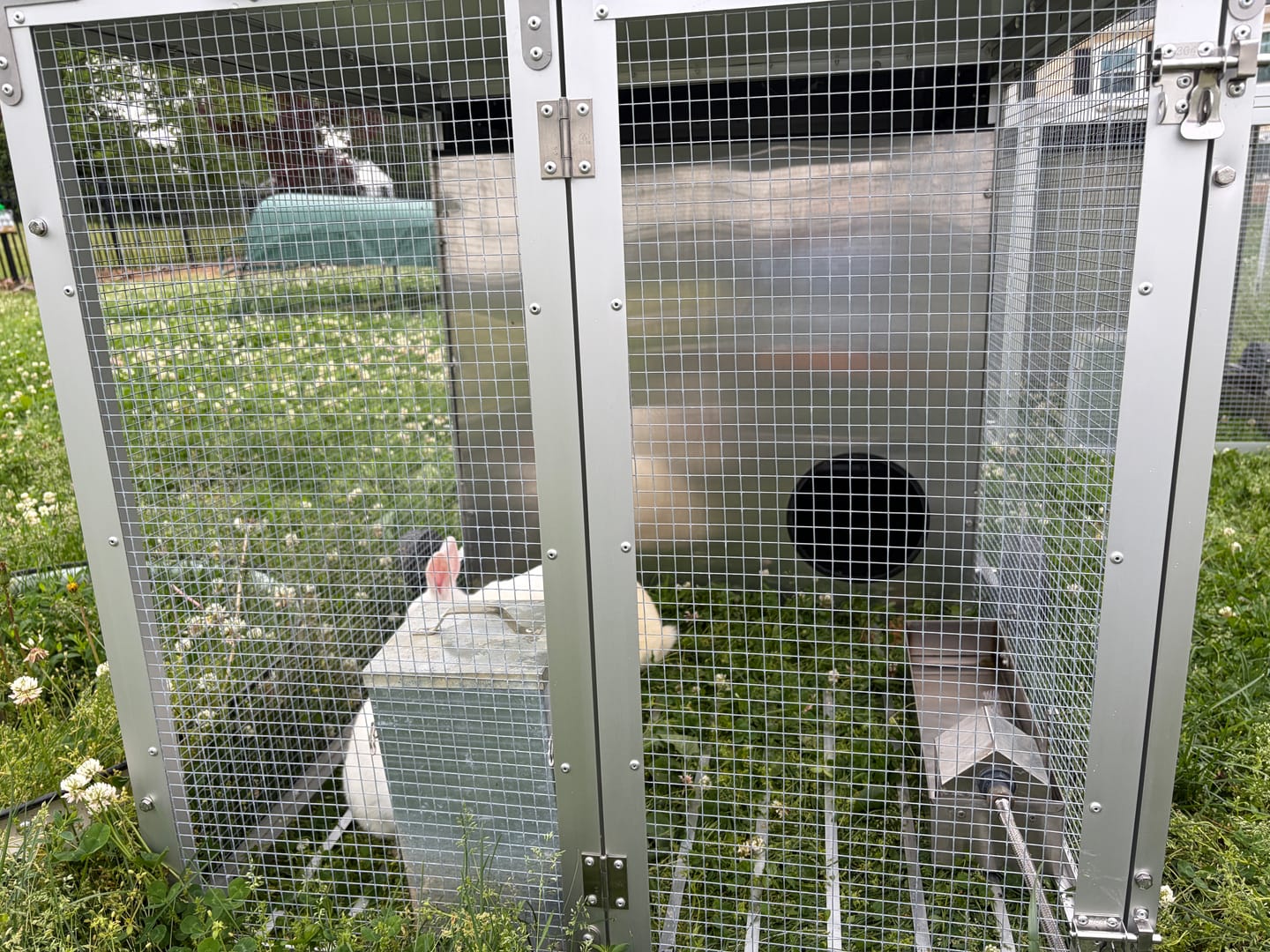 Customer photo review of Mobile Chicken Coop / Chicken Tractor