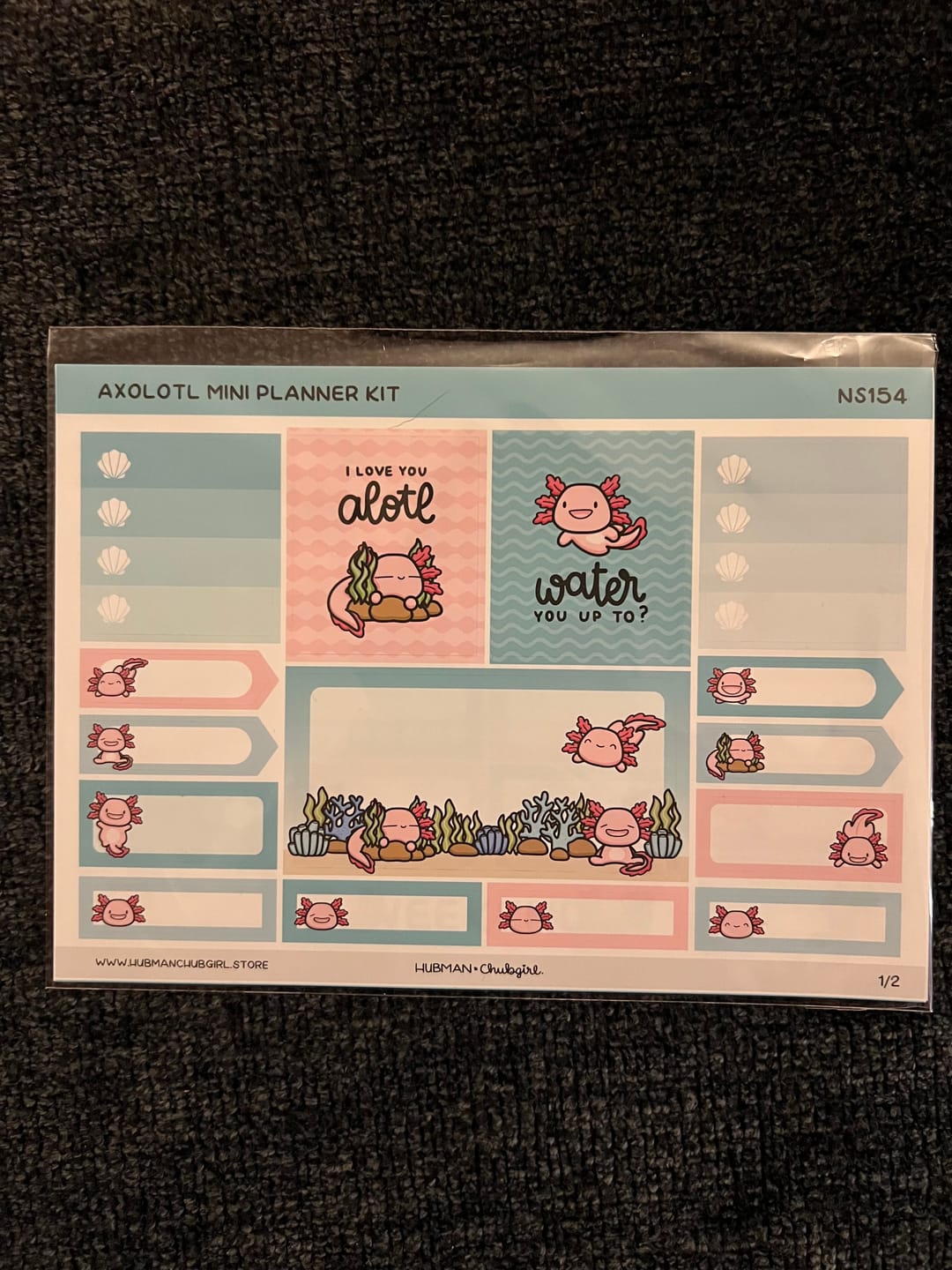 Customer photo review of Happy Axolotl Mini Planner Kit (Set of 2)