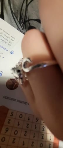 Customer photo review of Adjustable Toothless & Light Fury Ring