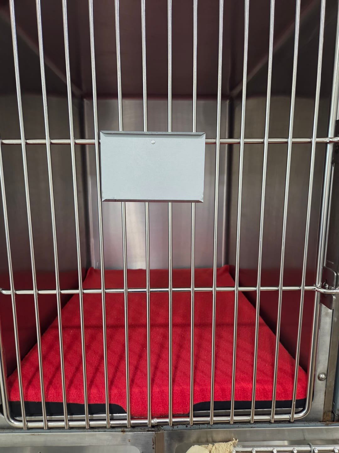 Customer photo review of Quick-Dry Fleece Cover for Comfort Recovery Cushion