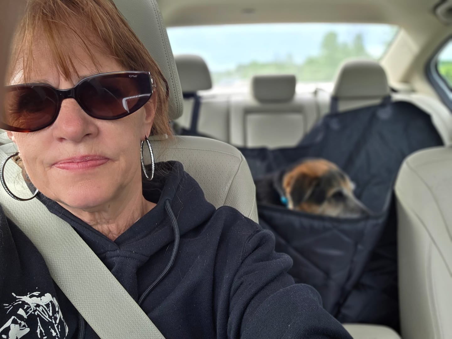 Customer photo review of Dog Rear Seat Cover with Hammock - Regular