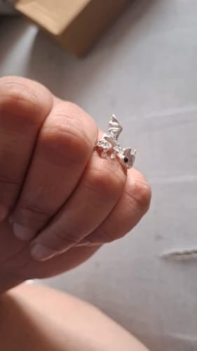 Customer photo review of Adjustable Toothless & Light Fury Ring