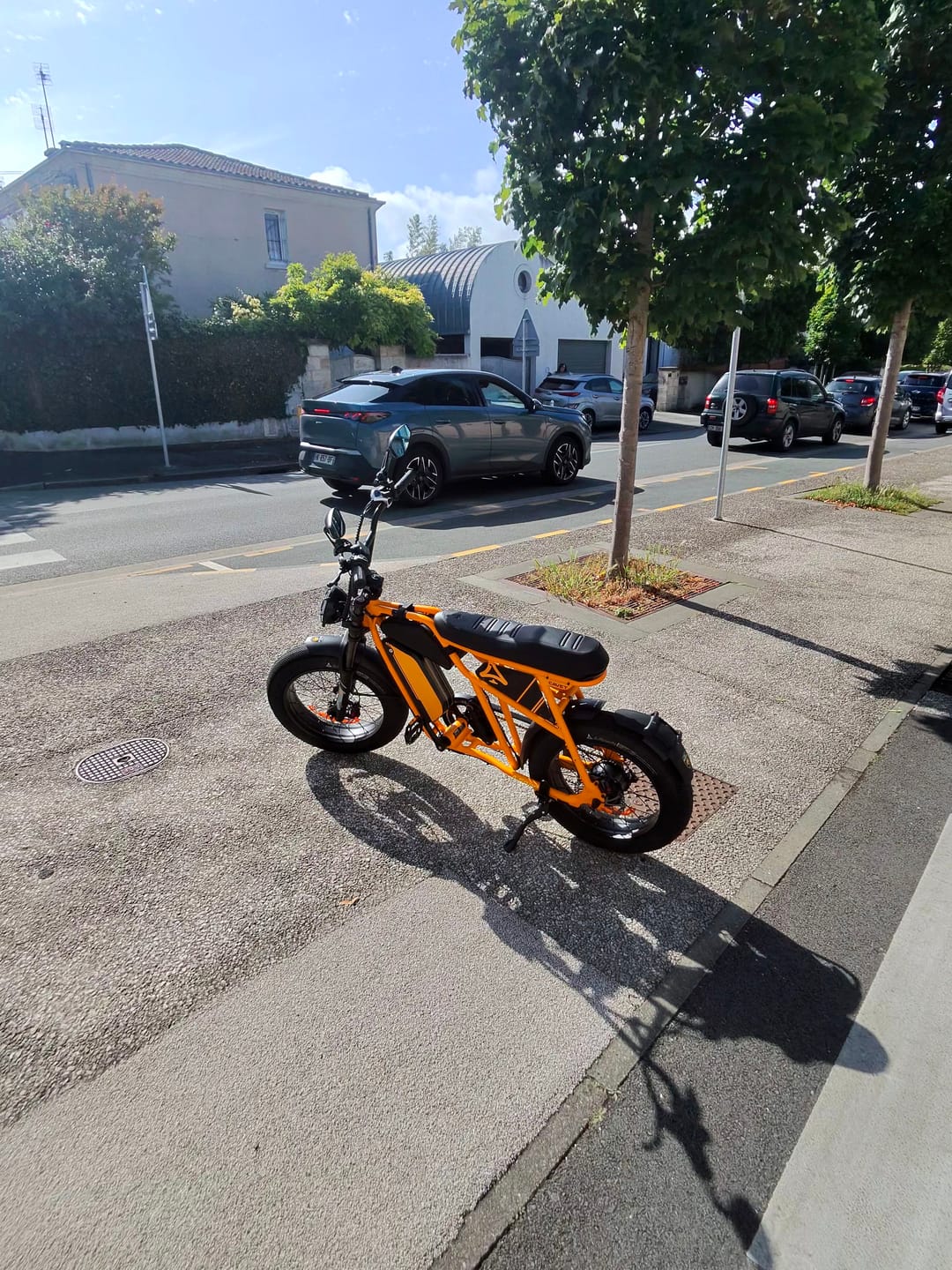 Customer photo review of Gifts Pack（Includs – Foot Peg, Fender & Chainguard!）
