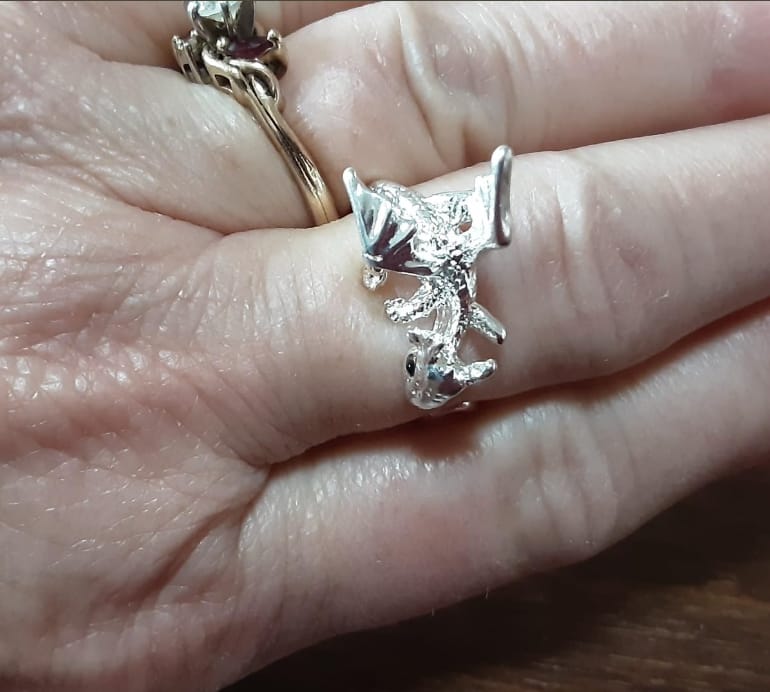 Customer photo review of Adjustable Toothless & Light Fury Ring