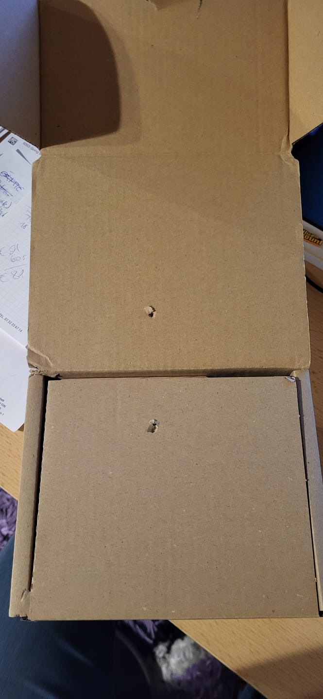 Customer photo review of Spardose Kinder, Sparschwein personalisiert bunt - Eichhörnchen Waldtiere