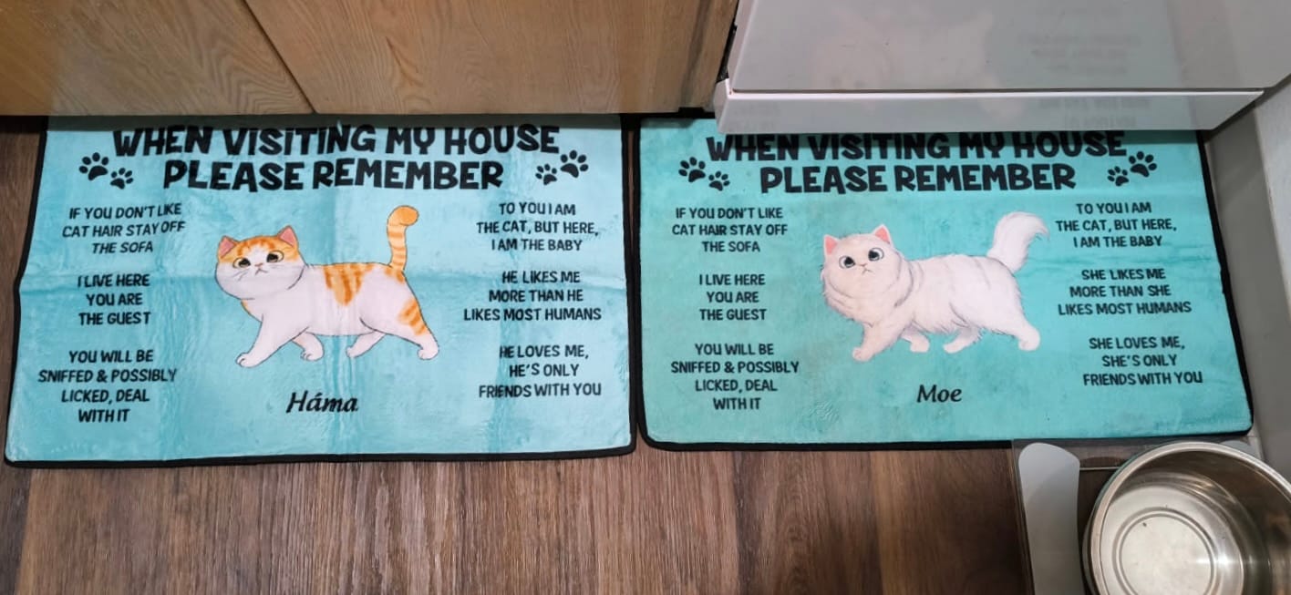 Customer photo review of Please Remember When Visiting Cats House Personalized Doormat