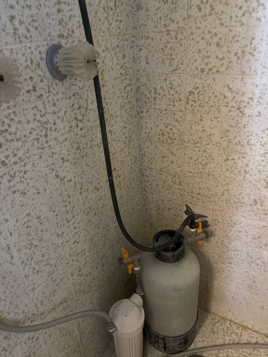 Customer photo review of Shower Water Softener System