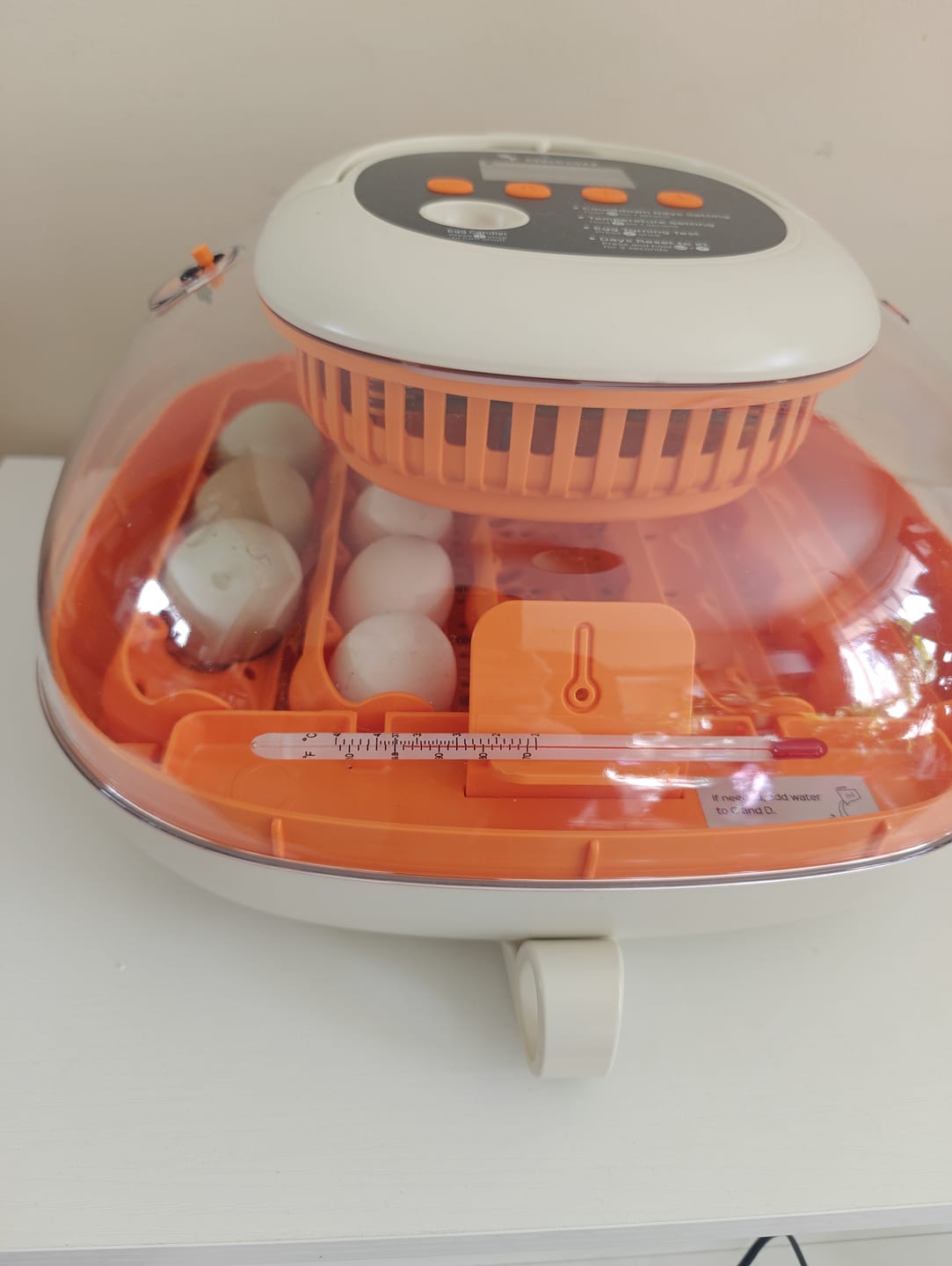 Customer photo review of Egg Incubator -25 Egg Capacity
