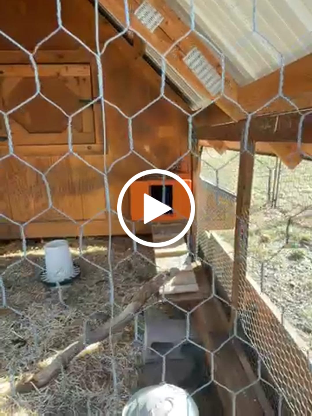 Customer video review of Solar Automatic Chicken Coop Door