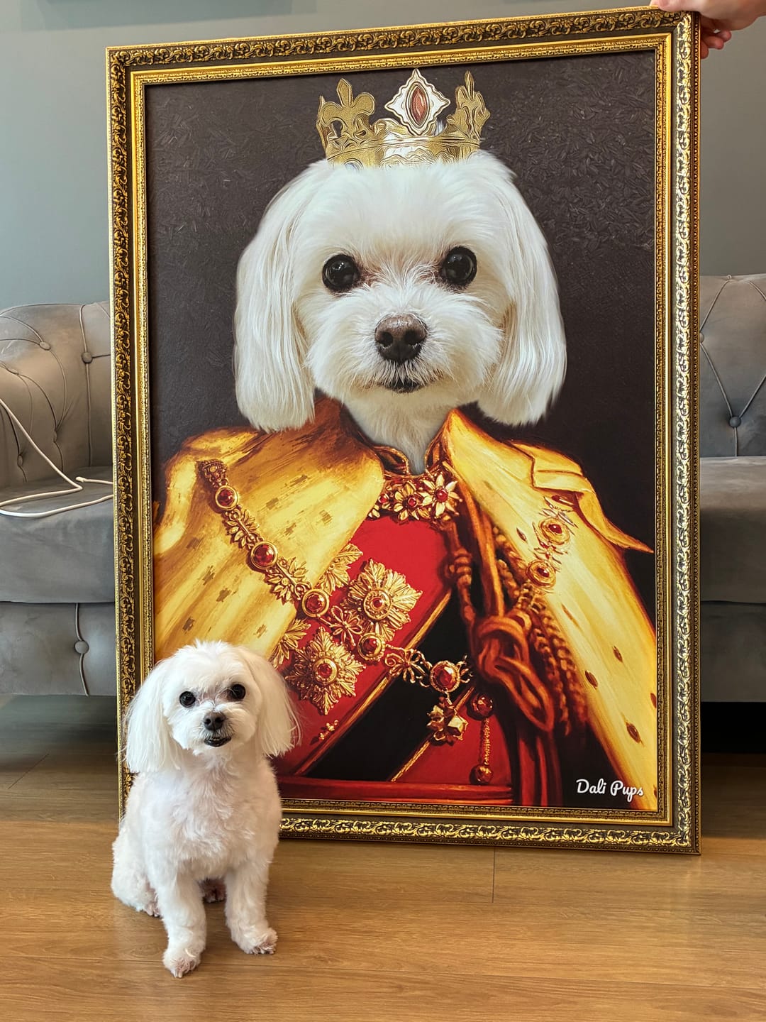 Customer photo review of The King of the Seven Kingdoms