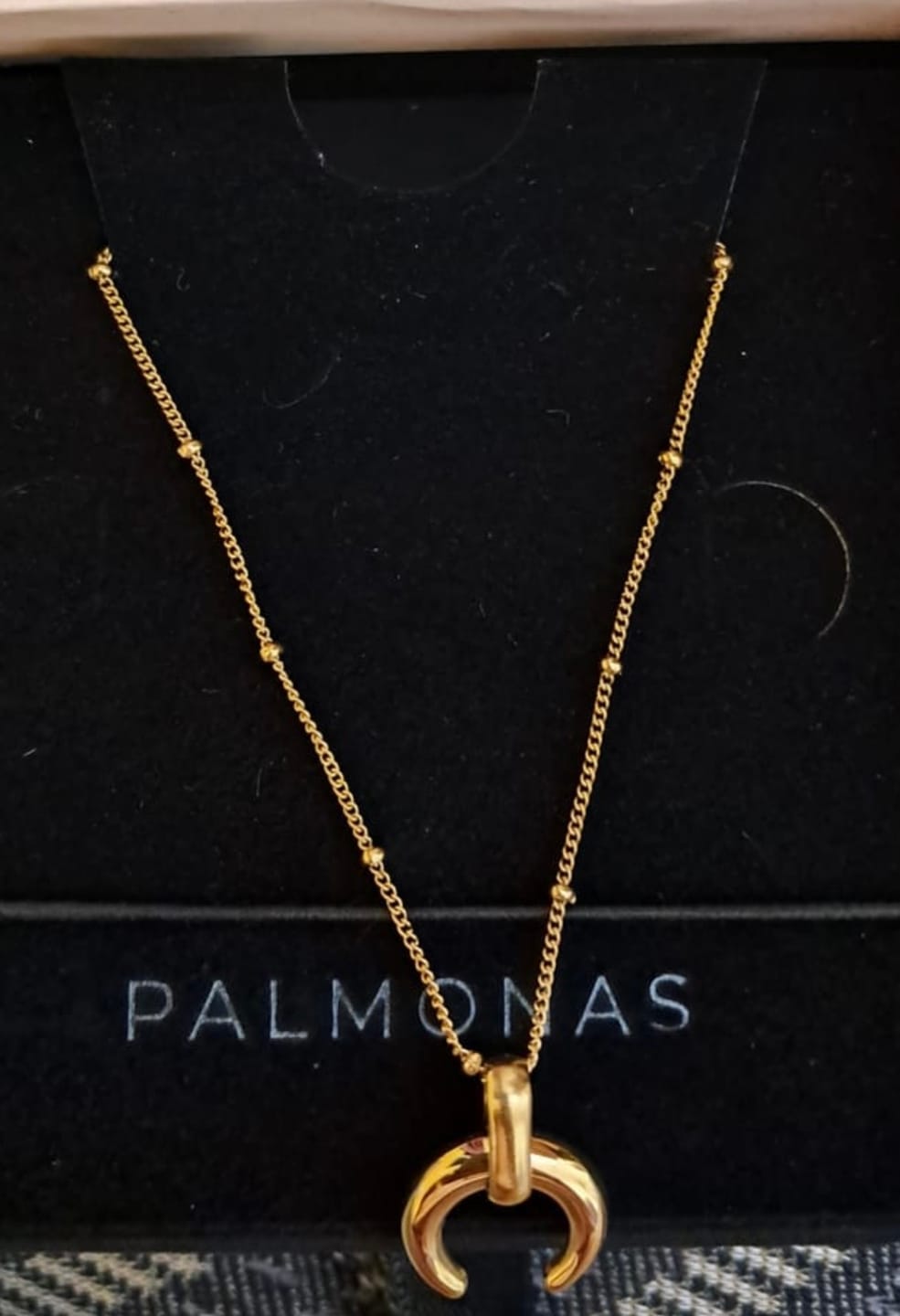 Customer photo review of Tiny Horn Necklace