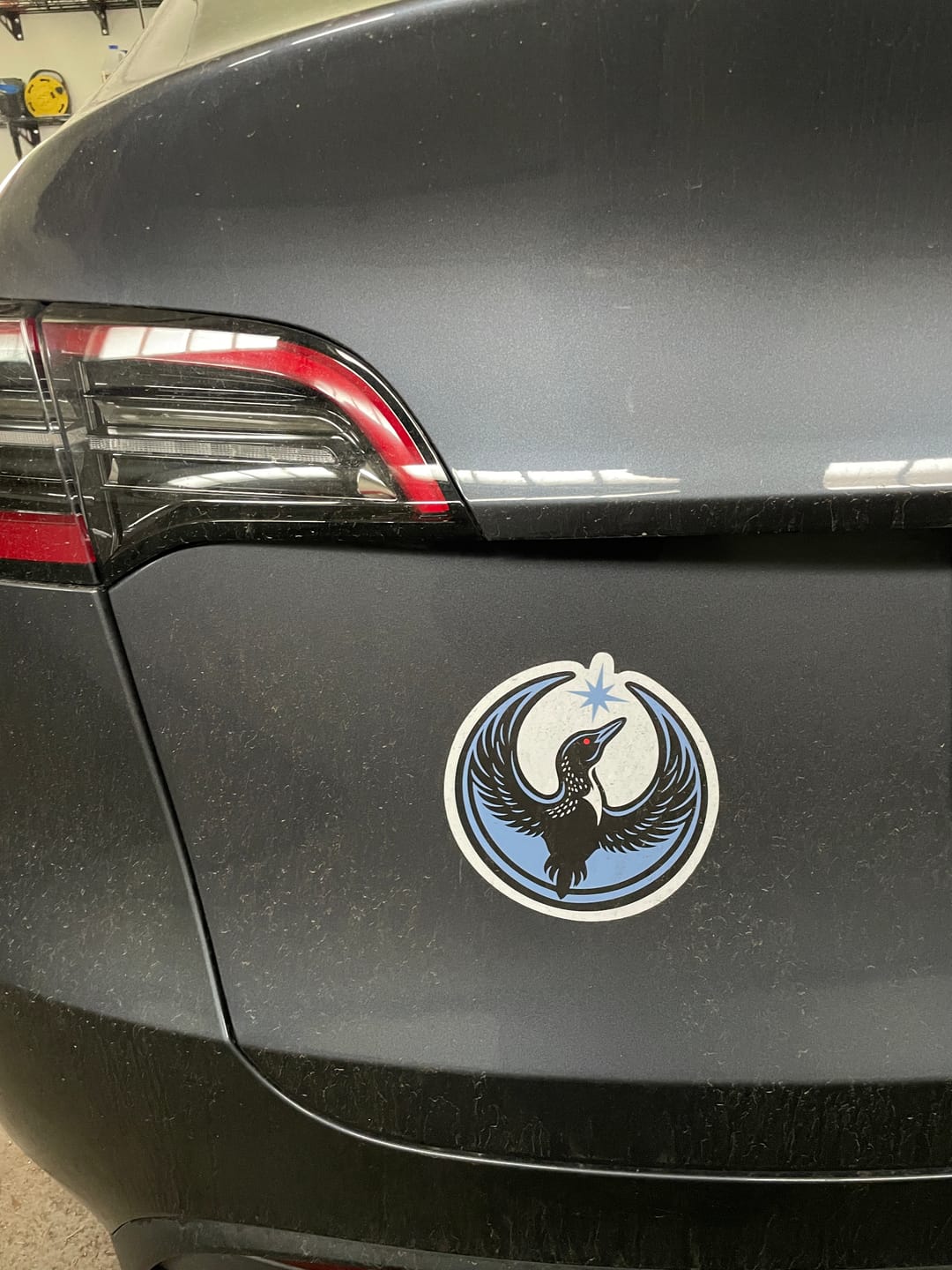 Customer photo review of Large Rebel Loon Vehicle Decal Sticker