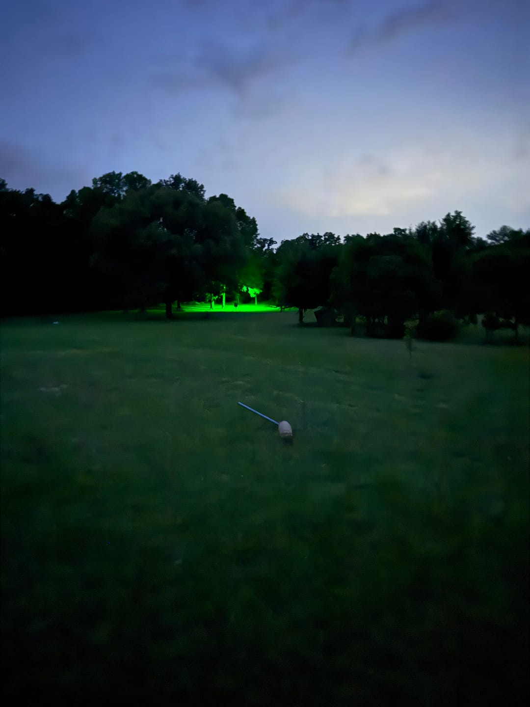 Customer photo review of Solar Green Feeder Light for Hunting -10,000 lumens