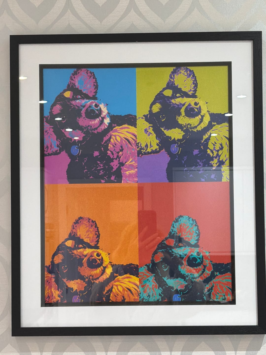 Customer photo review of Personalised Poster With Dog or Cat - Colour Squares
