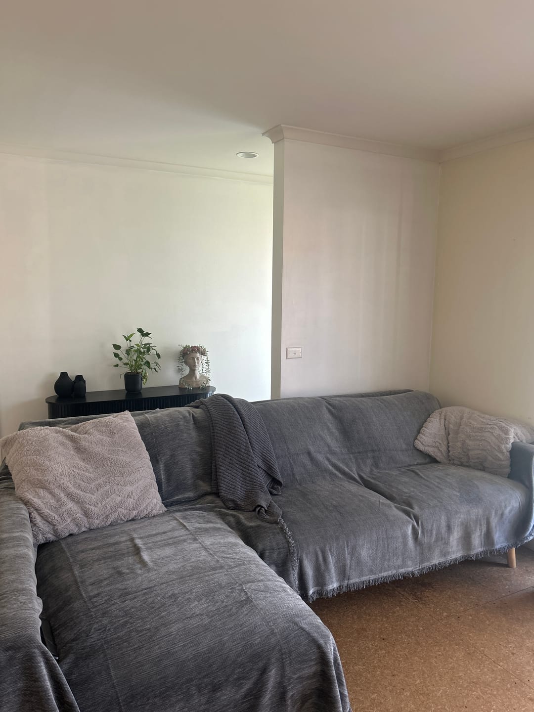 Customer photo review of CouchCare™️ Couch Protector