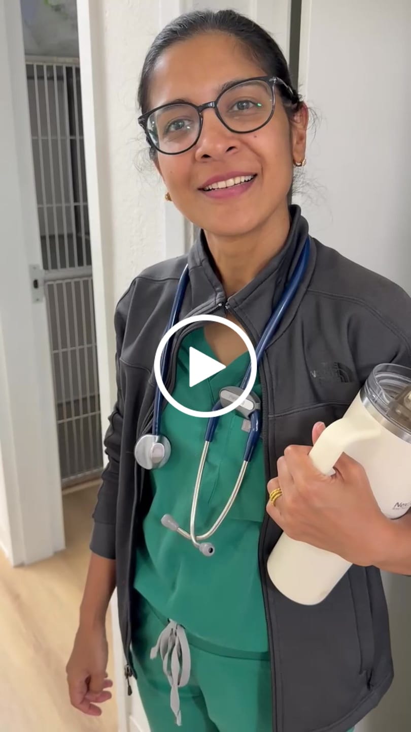 Customer video review of Premium Quick-Dry Vet Blanket