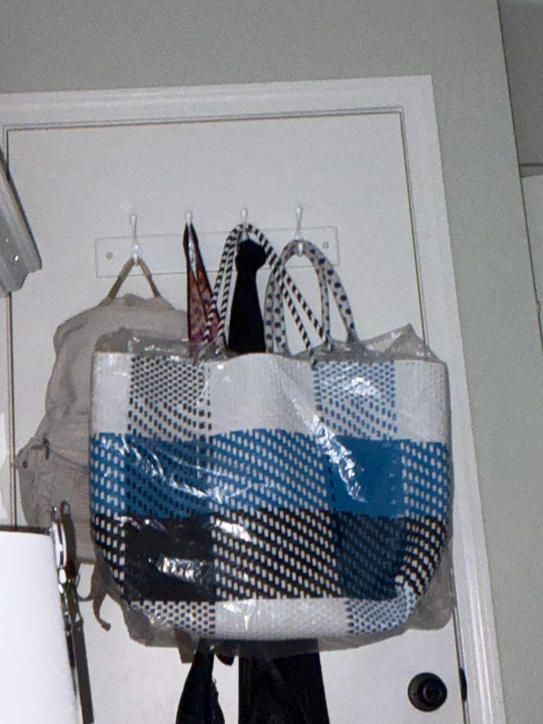 Customer photo review of Allie Woven Tote