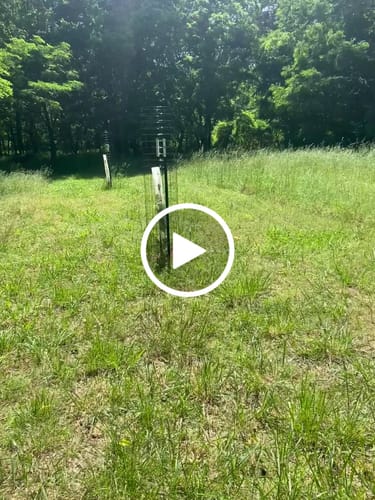 Customer video review of Hybrid Chestnut