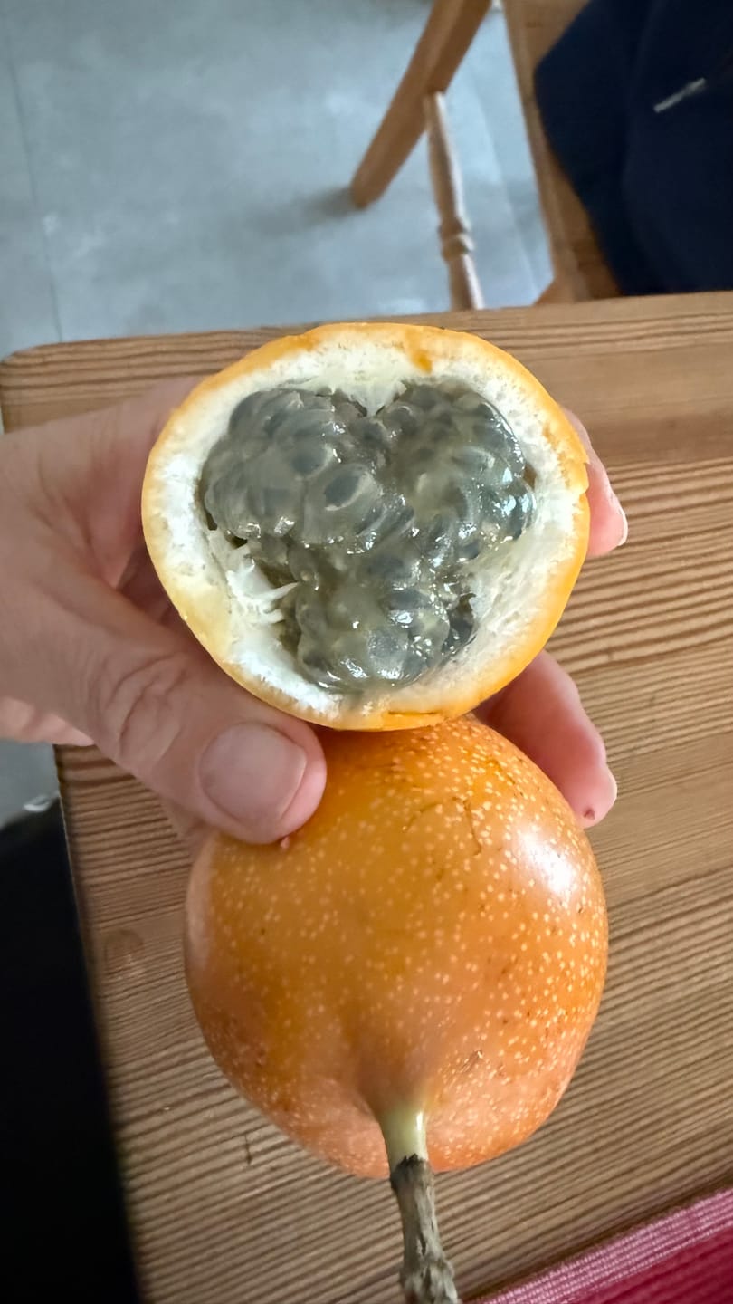 Customer photo review of Süße Granadilla Sonderaktion % 1,25kg