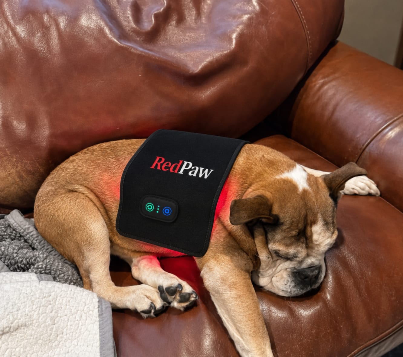 Customer photo review of RedPaw Red Light Therapy