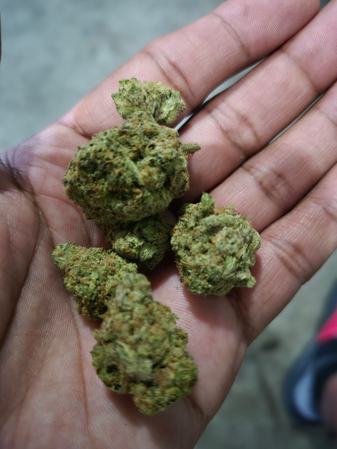 Customer photo review of Blueberry Syrup - Bulk - Indica
