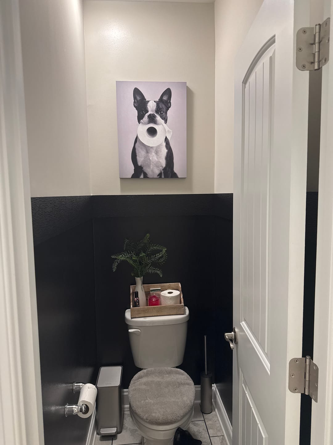 Customer photo review of Boston Terrier Dog Toilet Paper