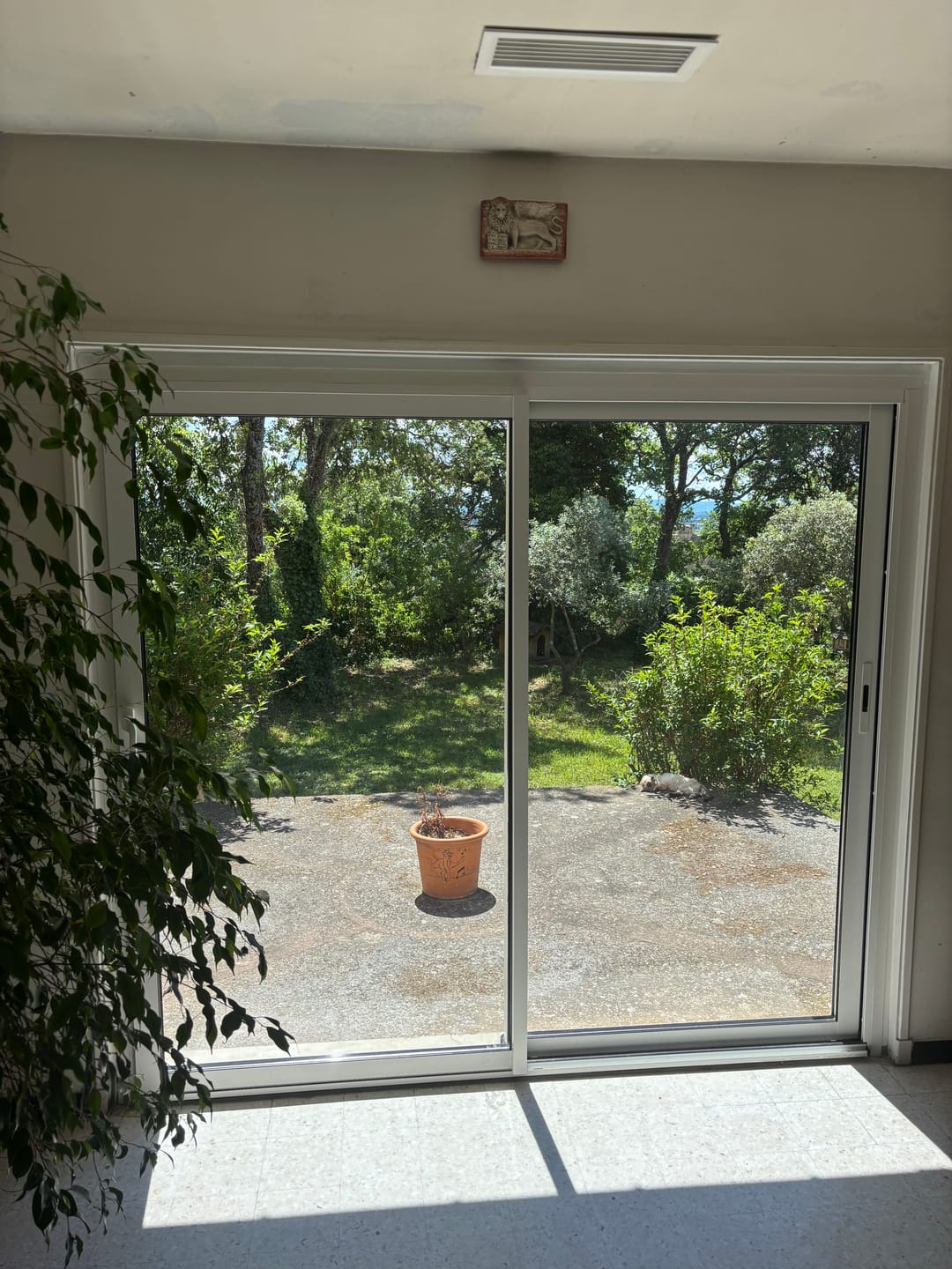 Customer photo review of Leone San Marco - Piastra in Terracotta