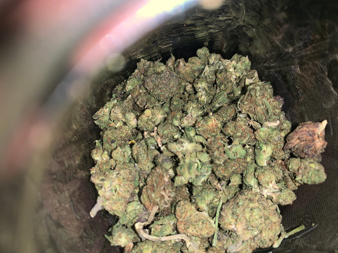 Customer photo review of Granddaddy Purple - 28 Grams - Indica