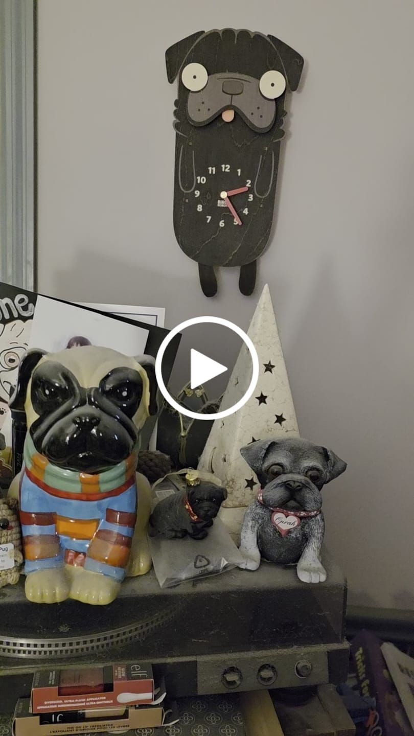 Customer video review of Penny the Pug Pendulum Clock