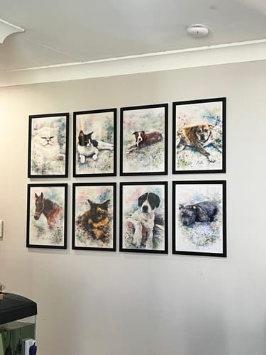 Customer photo review of Personalised Poster With Dog or Cat - Watercolour