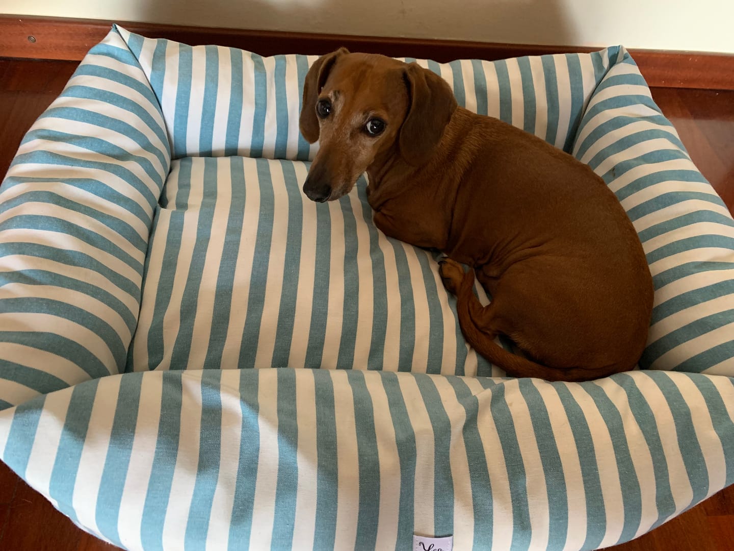 Customer photo review of Divanetto Cotone Righe Larghe Ottanio