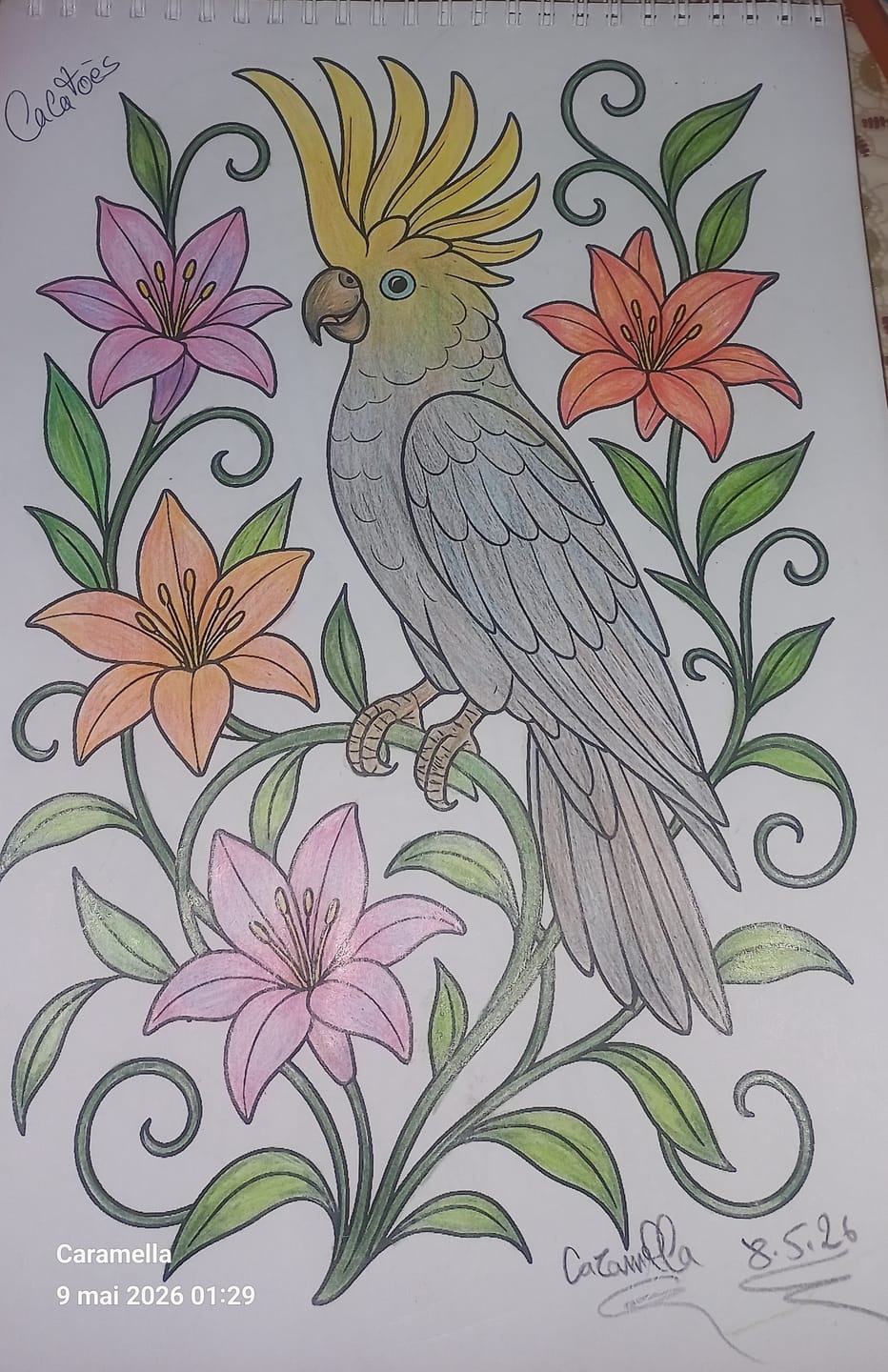 Customer photo review of Packs Coloriage – Jusqu’à -55%🔥