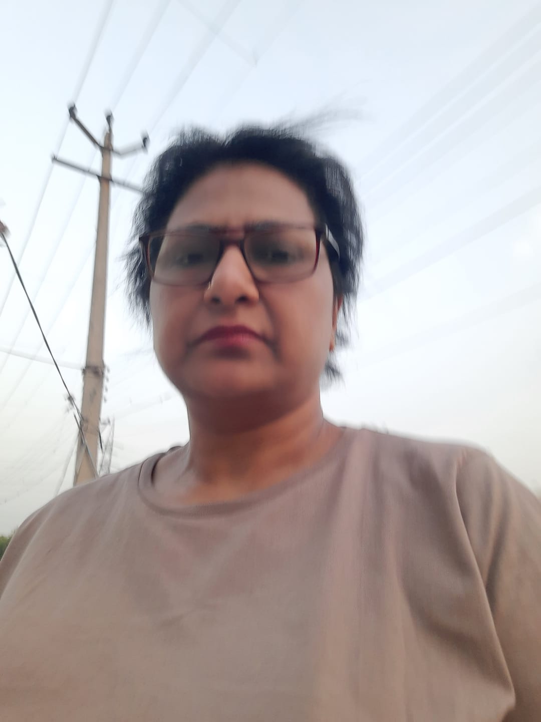 Customer photo review of Women Mesa Taupe Round Neck T-shirt