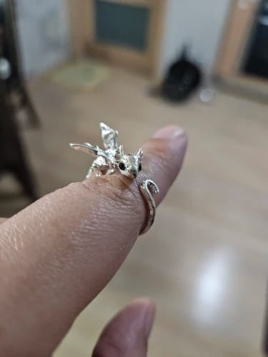 Customer photo review of Adjustable Toothless & Light Fury Ring