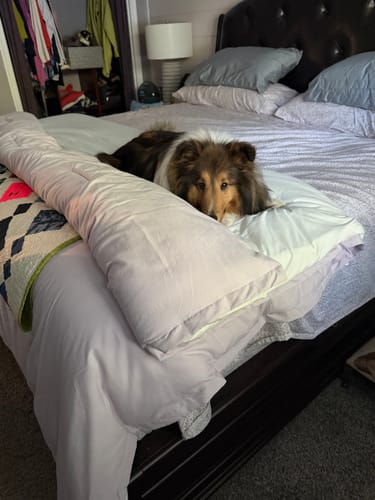 Customer photo review of Shipping Protection
