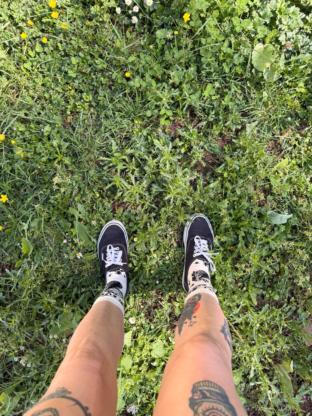 Customer photo review of Reliquary - Crew Socks