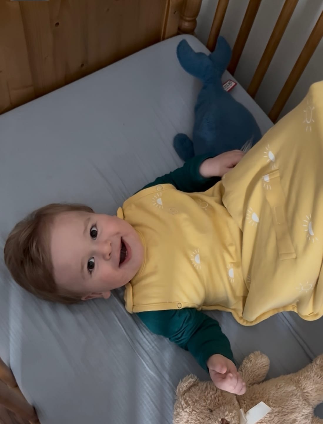 Customer photo review of 4 Season® Ultimate Baby Sleep Bag, Merino Wool & Organic Cotton, Sun
