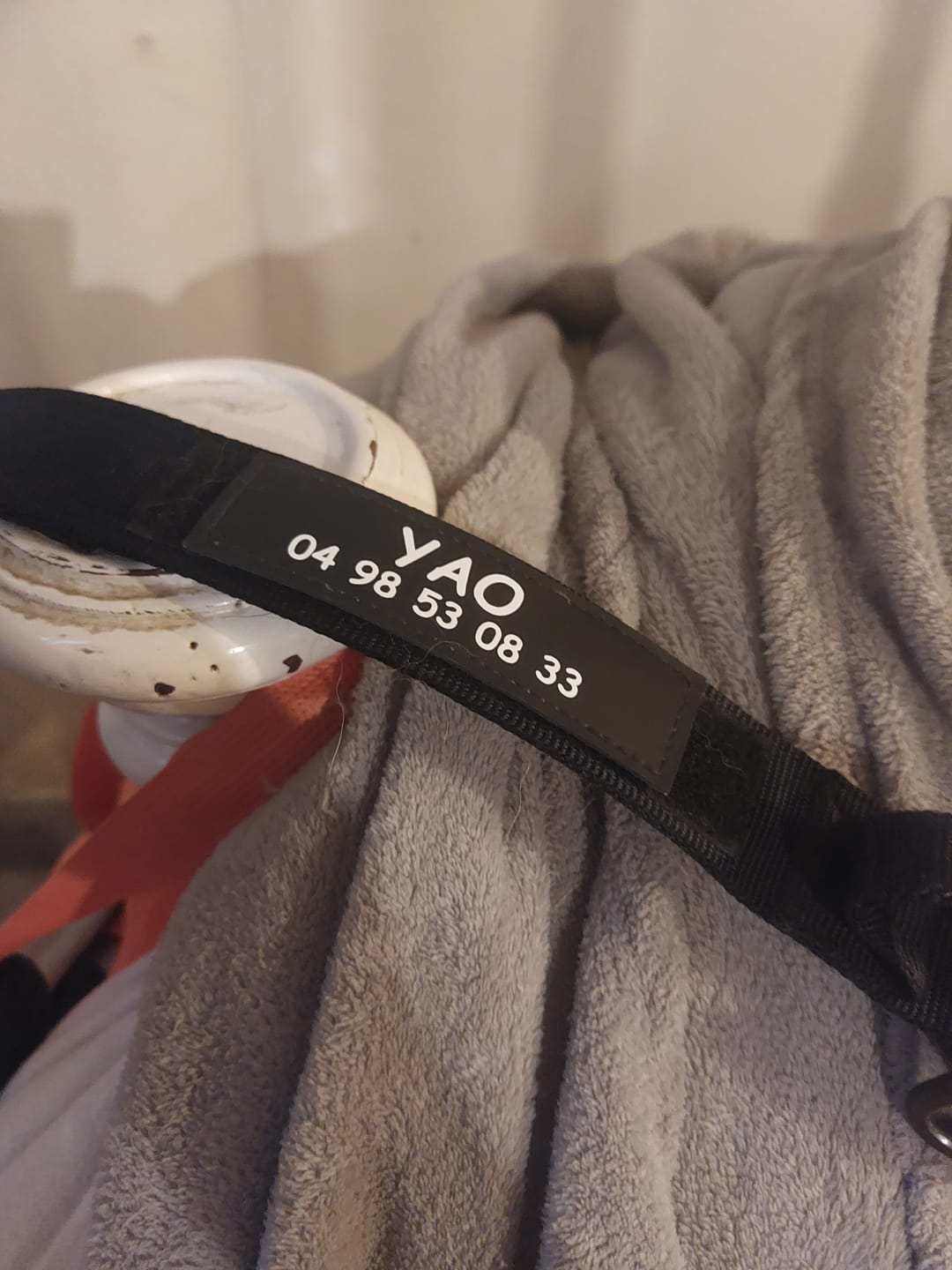 Customer photo review of Patch personnalisé pour chien – Un style unique !