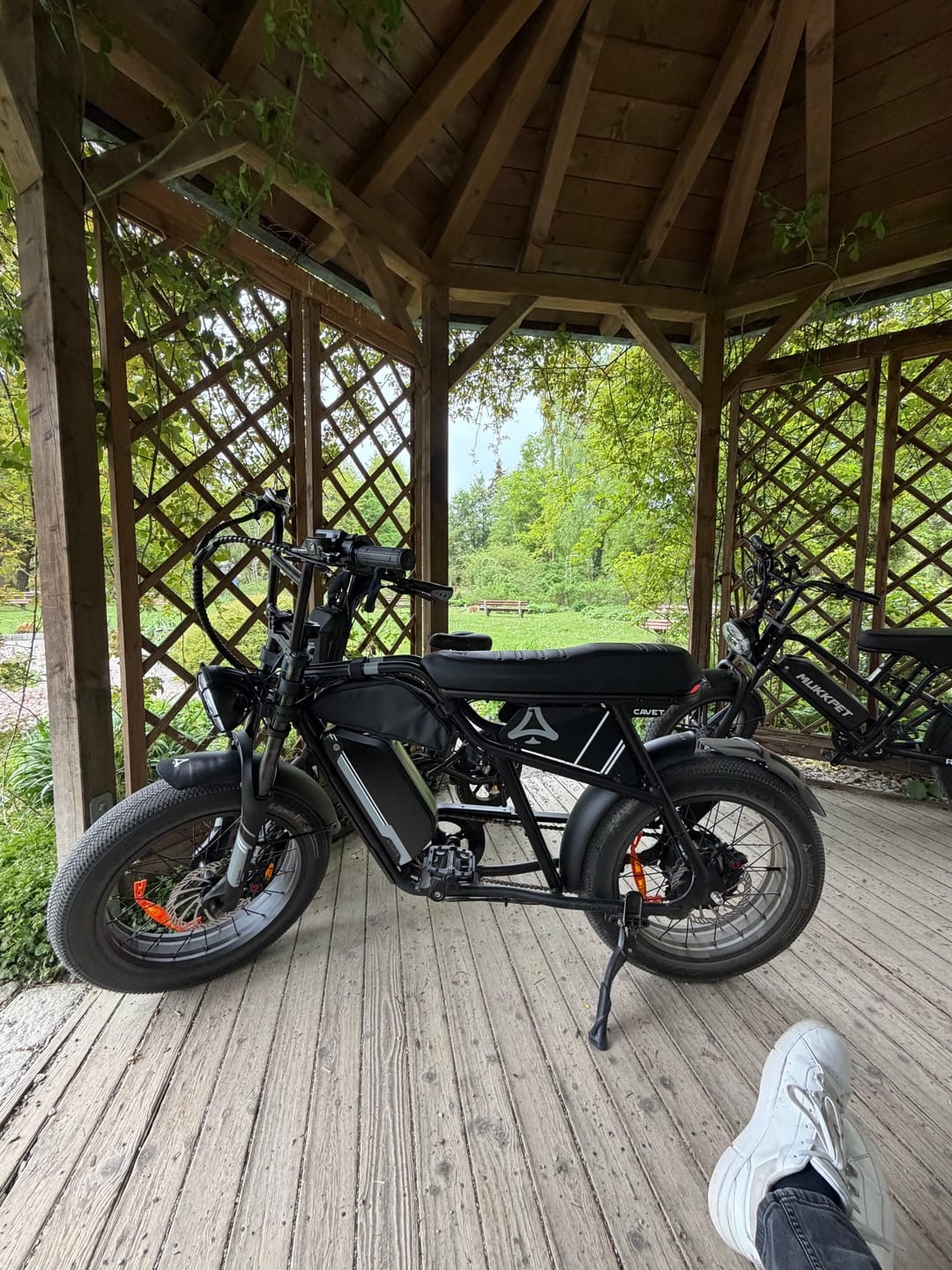 Customer photo review of CAVET Air
