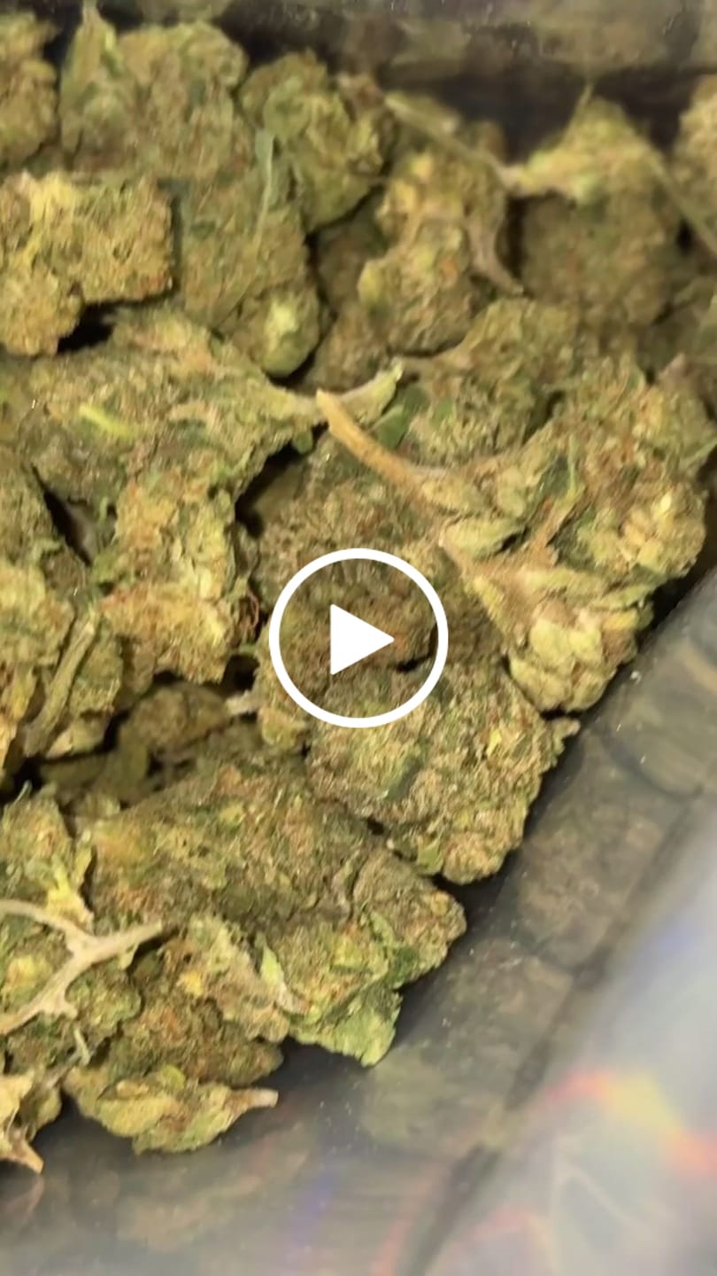 Customer video review of Double Runtz Minis - Bulk Minis - Hybrid