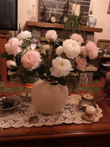 Customer photo review of Terra vase - Beige (PRÉCOMMANDE – EXPÉDIÉ LE 15/05)