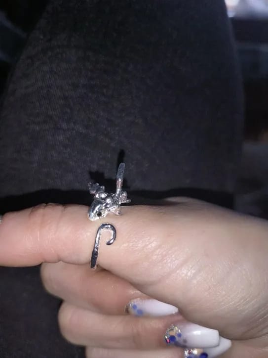 Customer photo review of Adjustable Toothless & Light Fury Ring