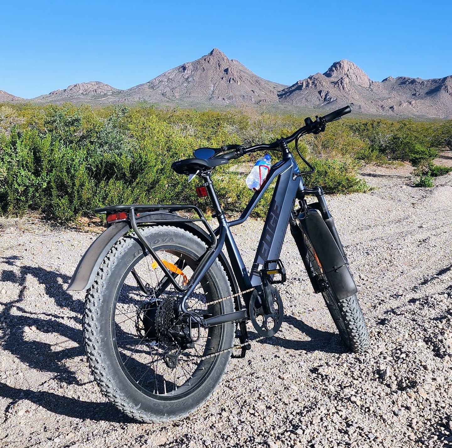 Customer photo review of Edge