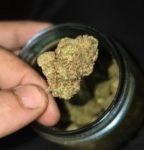 Super Runtz Mediums - Bulk Mediums - Hybrid photo review