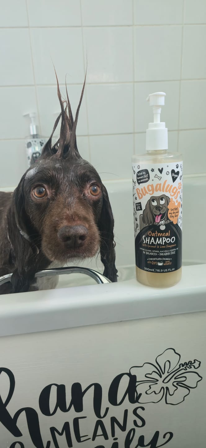 Customer photo review of Oatmeal Dog Shampoo with Coconut & Lime Fragrance