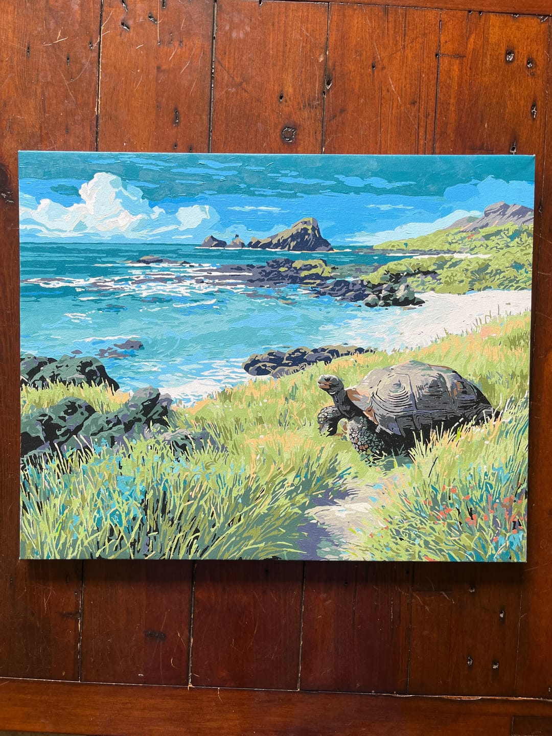 Customer photo review of Galápagos National Park