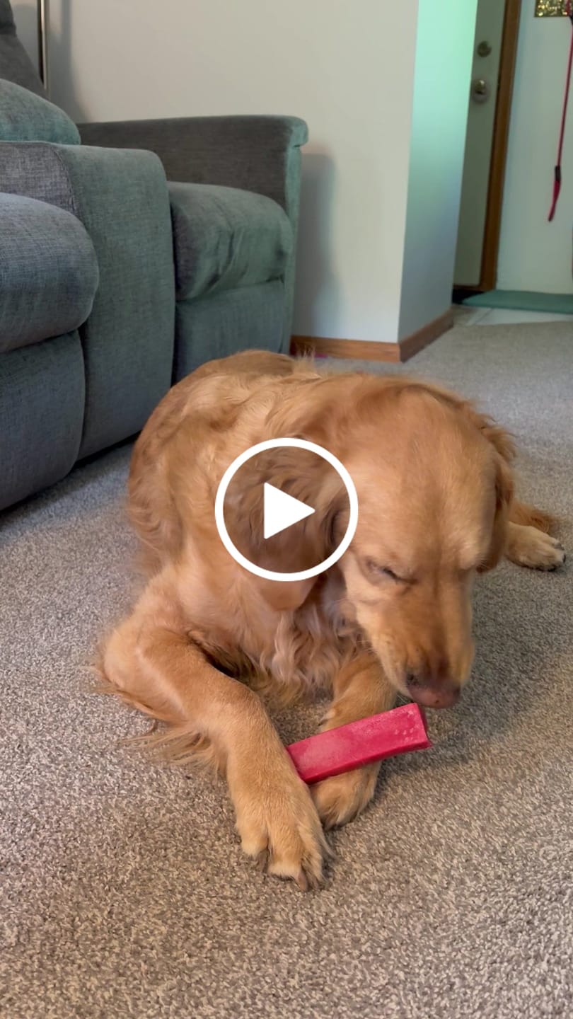 Customer video review of Long-Lasting Yak Chews — 6 Flavor Pack