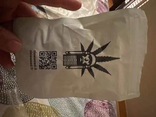 Customer photo review of Amnesia Haze - Greenhouse